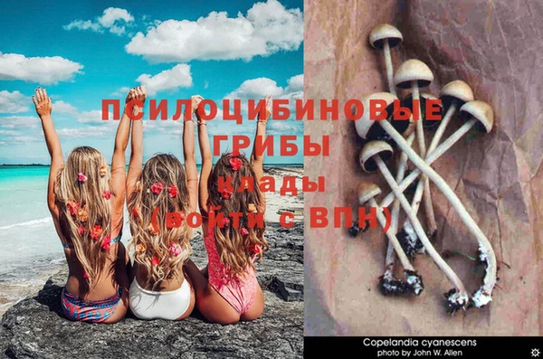 mdpv Абдулино