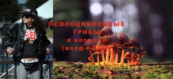 эйфоретик Алзамай