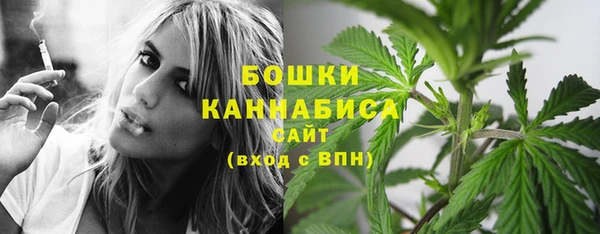 spice Медвежьегорск